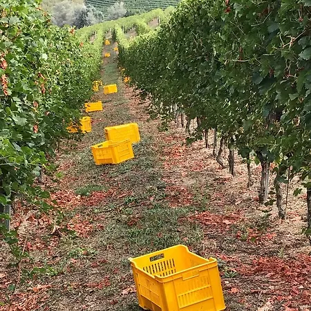 Tre Stelle Vakantieboerderij Barbaresco